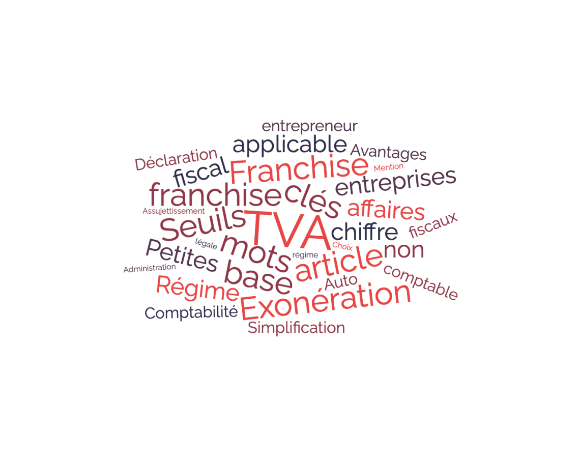 Franchise de tva guide pratique